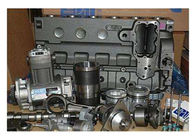 CT Cummins Engine Parts Rectangular Seal Ring C3907177 Standard Size Long Warranty